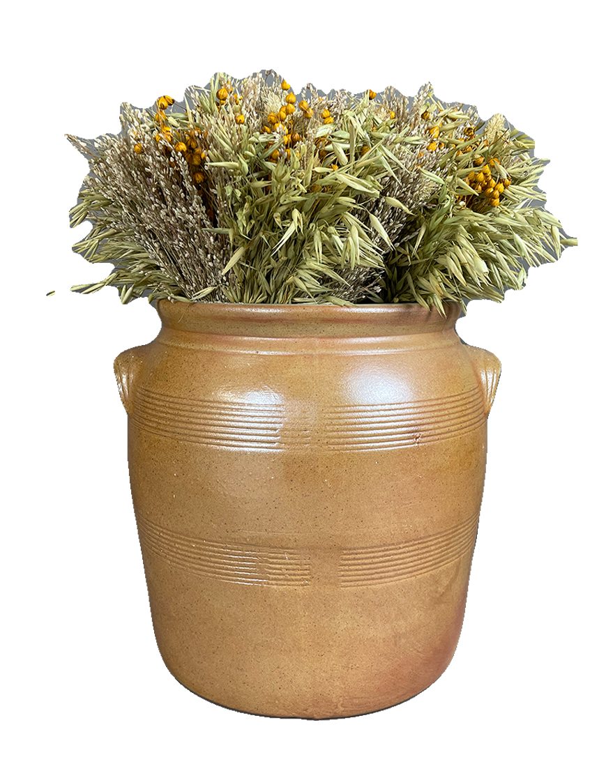Brown ceramic jar with dried plants on a white background