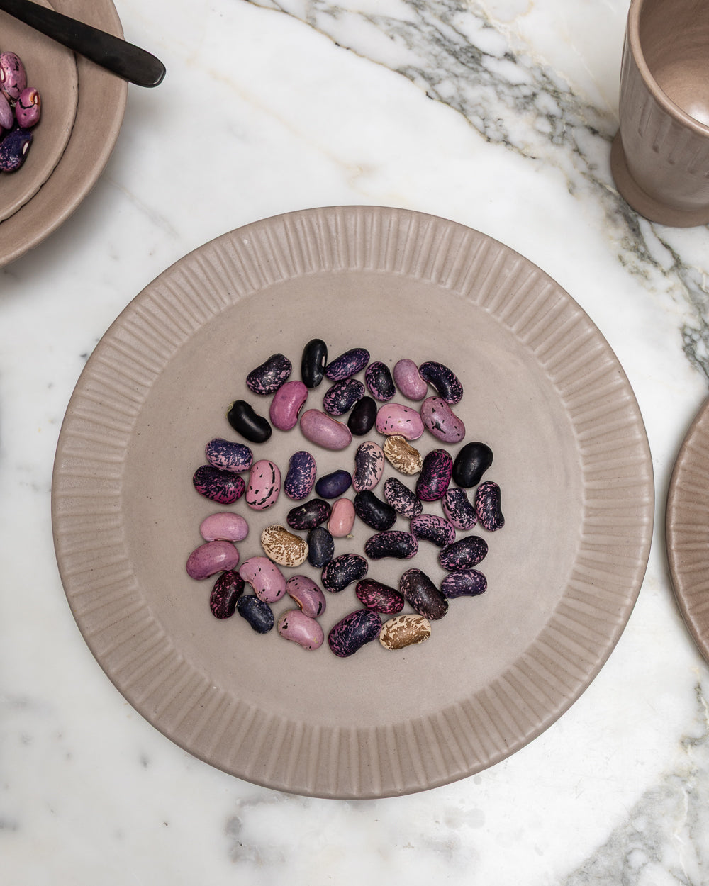 Earth Lines Dinner Plate - Set of 4