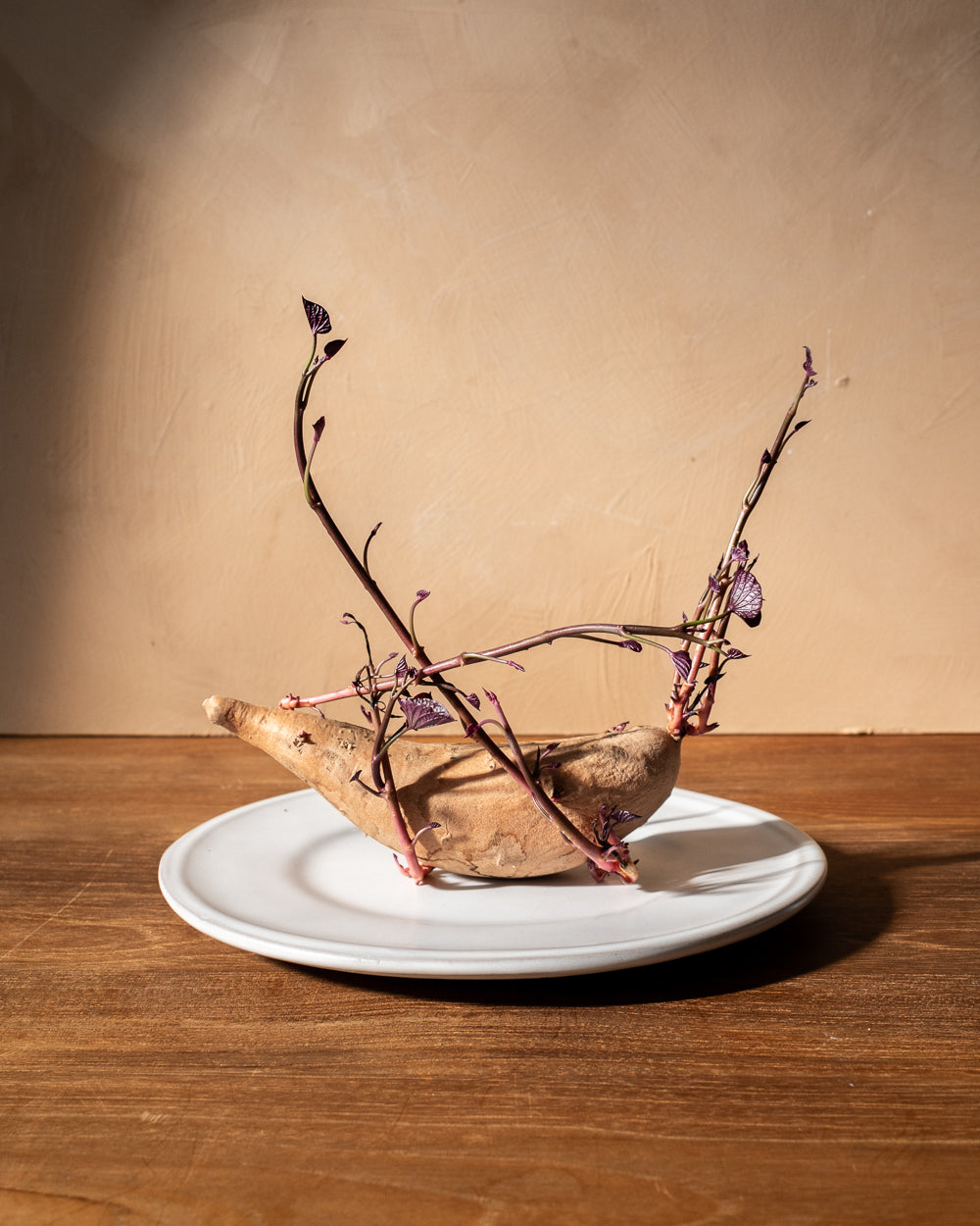 Cloud Oval Dessert Plate - Set of 4