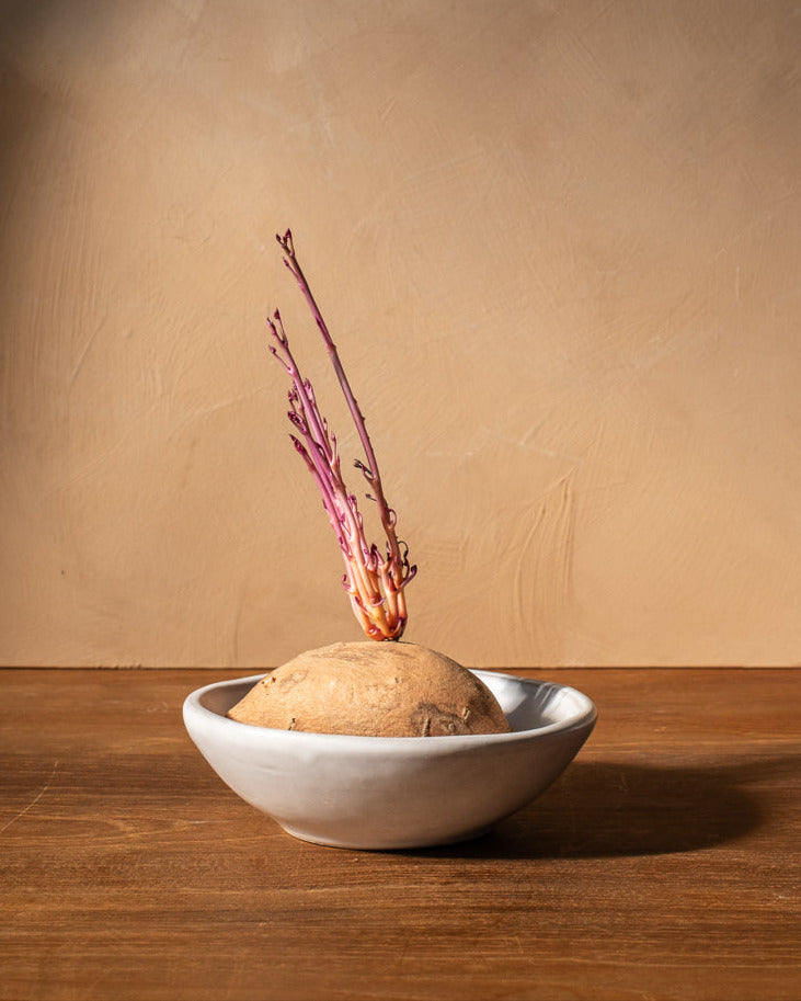 Cloud Oval Small Bowl - Set of 4