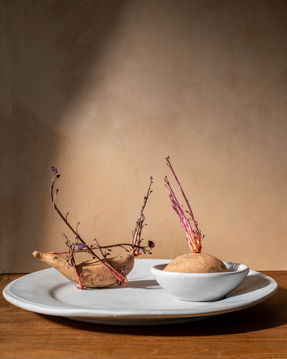 Cloud Oval Serving Tray