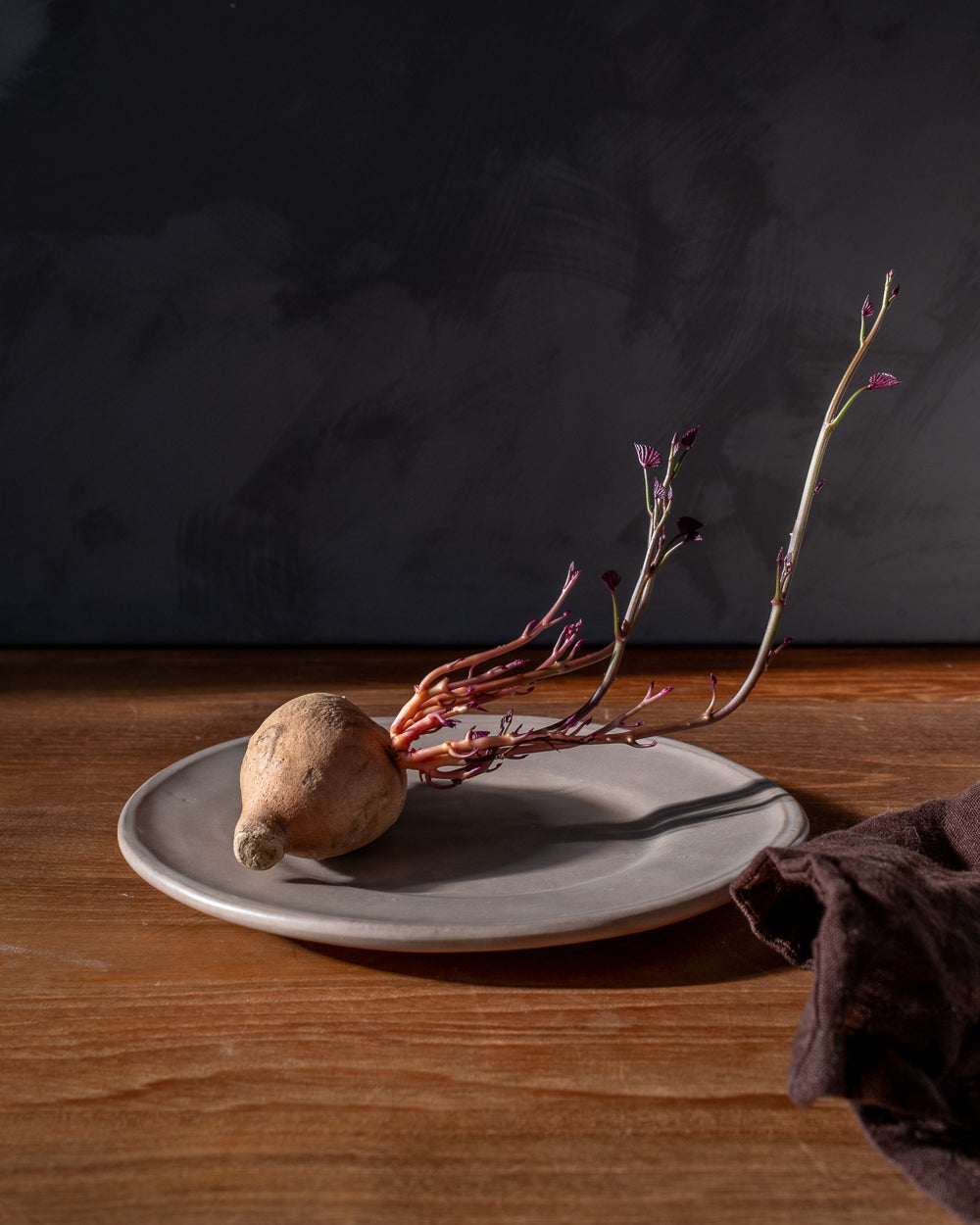 Earth Oval Dessert Plate - Set of 4