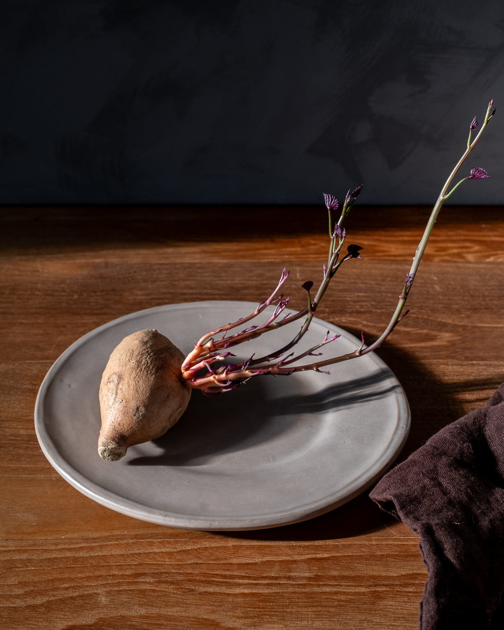 Earth Oval Dessert Plate - Set of 4