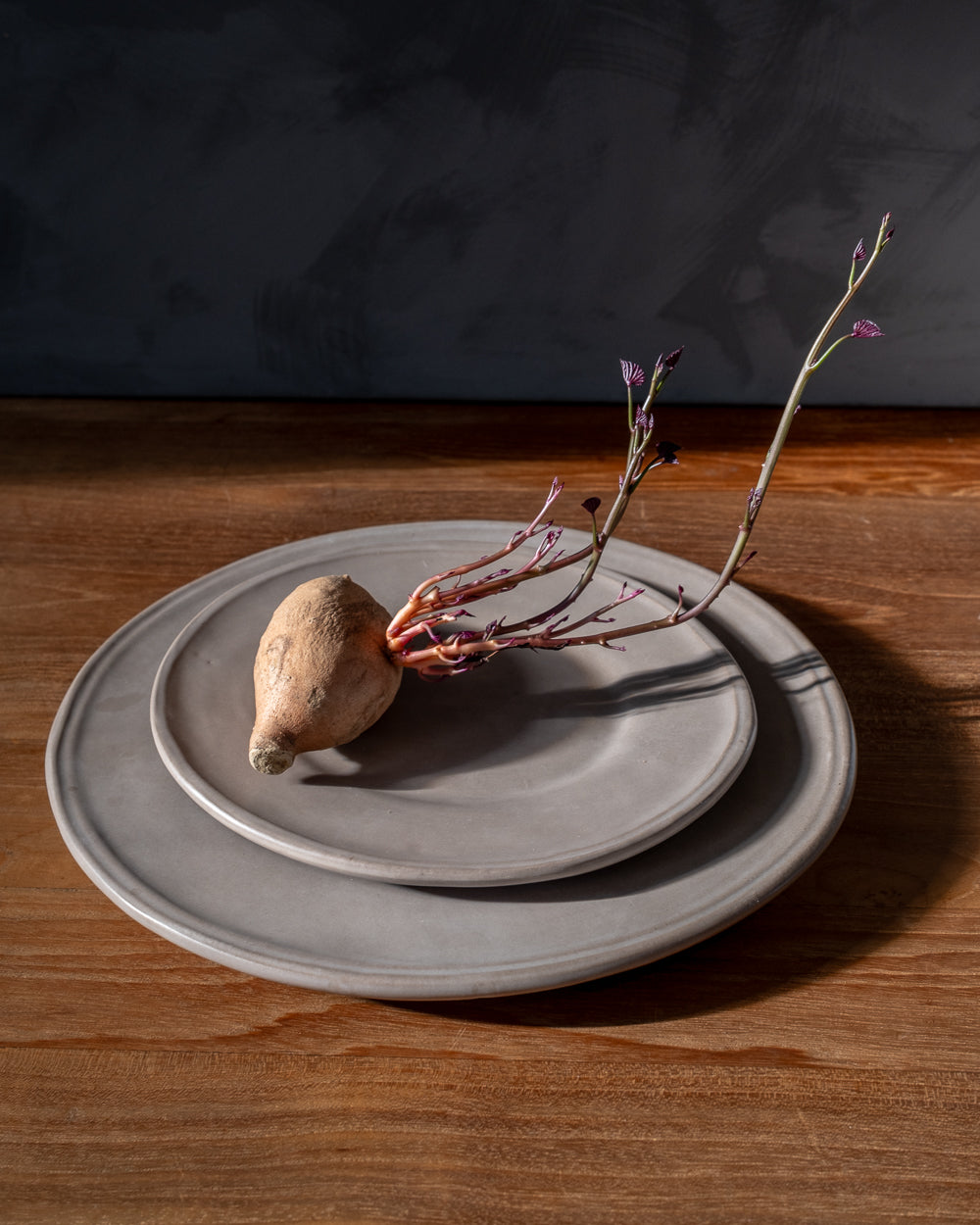 Earth Oval Dinner Plate - Set of 4