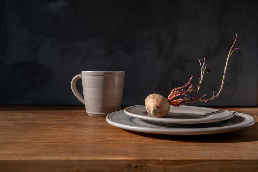 Earth Oval Dinner Plate - Set of 4