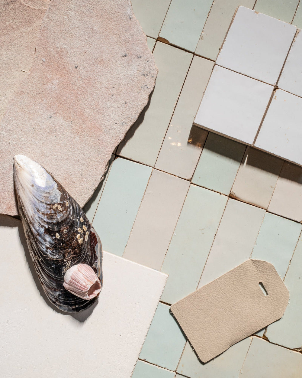 Mussel shell on a textured surface with pastel-colored tiles in the background