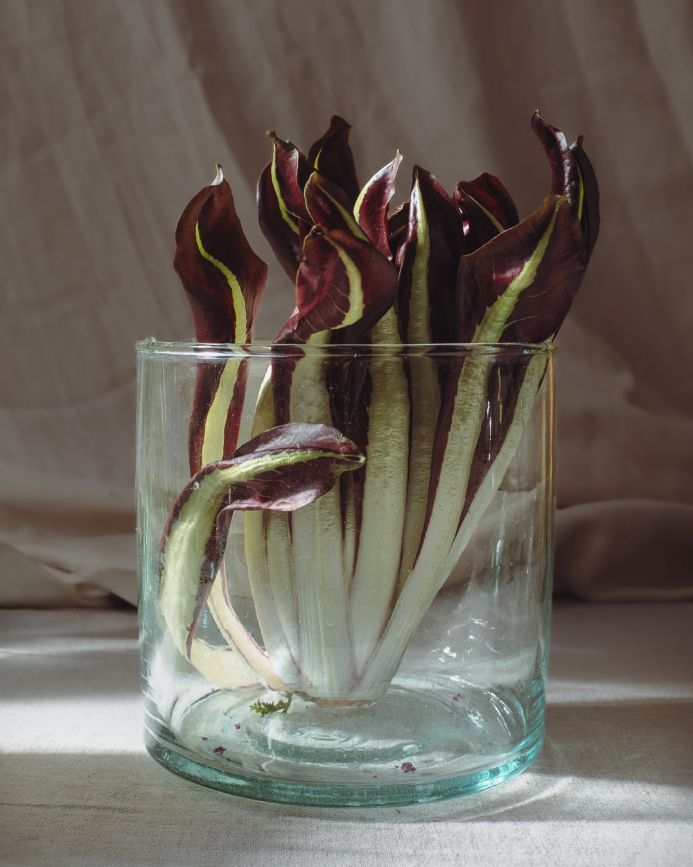 Kade Recycled Glass Hurricanes