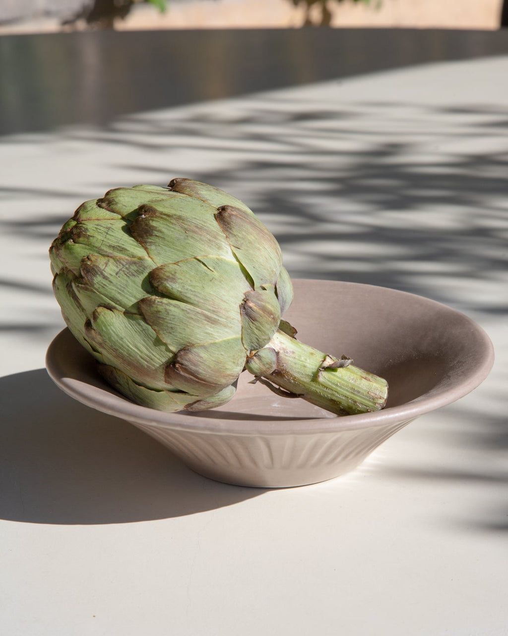 Earth Lines Coupelle - Set of 4